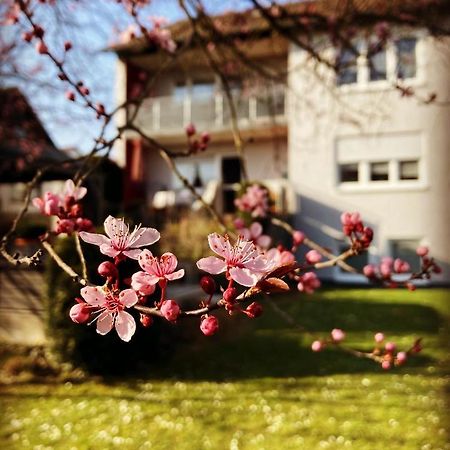 Ferienwohnung Im Aalbachtal - Uettingen Bei Wuerzburg Exteriér fotografie