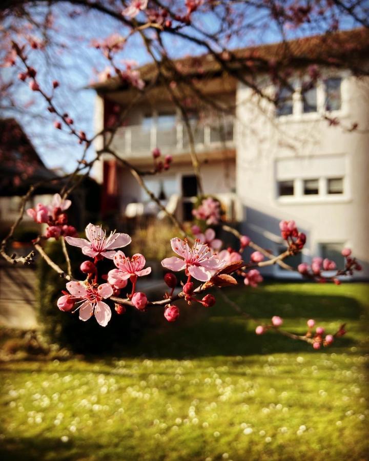 Ferienwohnung Im Aalbachtal - Uettingen Bei Wuerzburg Exteriér fotografie